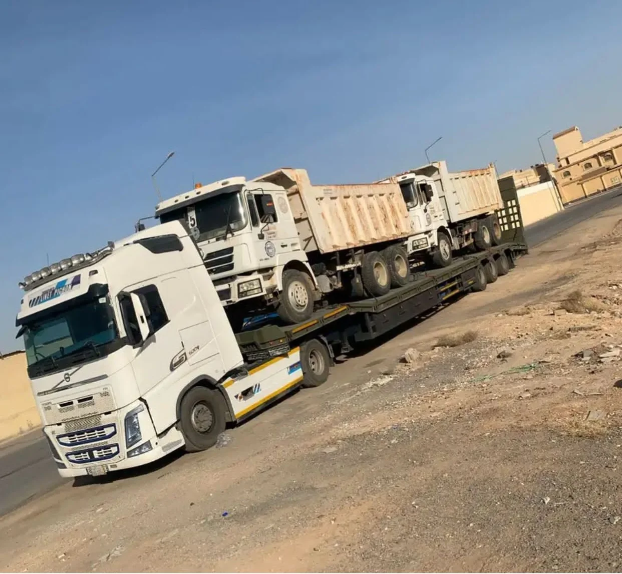  لوبد القصيم  